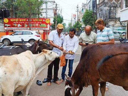 Cow devotees celebrated the grand festival of Gopashtami in Rajnandgaon. | राजनांदगांव में गौ भक्तों ने मनाया गोपाष्टमी महापर्व: बाल रत्न मंच सेवा समिति ने किया गौ माता का पूजन – Rajnandgaon News 4d2d09b5 c29a 49b4 970d aec62cd2e794 1761740208477