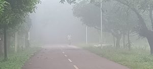 सुबह घना कोहरा ,शाम को बारिश और रात को सर्दी,प्रकृति के पल-पल बदलते रंग से जनजीवन हो रहा है प्रभावित............................डाक्टरों ने कहा सेहत का रखें खास ख्याल 1 IMG 20251008 063109