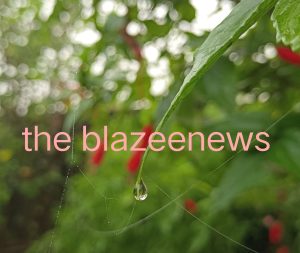 सुबह घना कोहरा ,शाम को बारिश और रात को सर्दी,प्रकृति के पल-पल बदलते रंग से जनजीवन हो रहा है प्रभावित............................डाक्टरों ने कहा सेहत का रखें खास ख्याल 2 IMG 20251008 193029