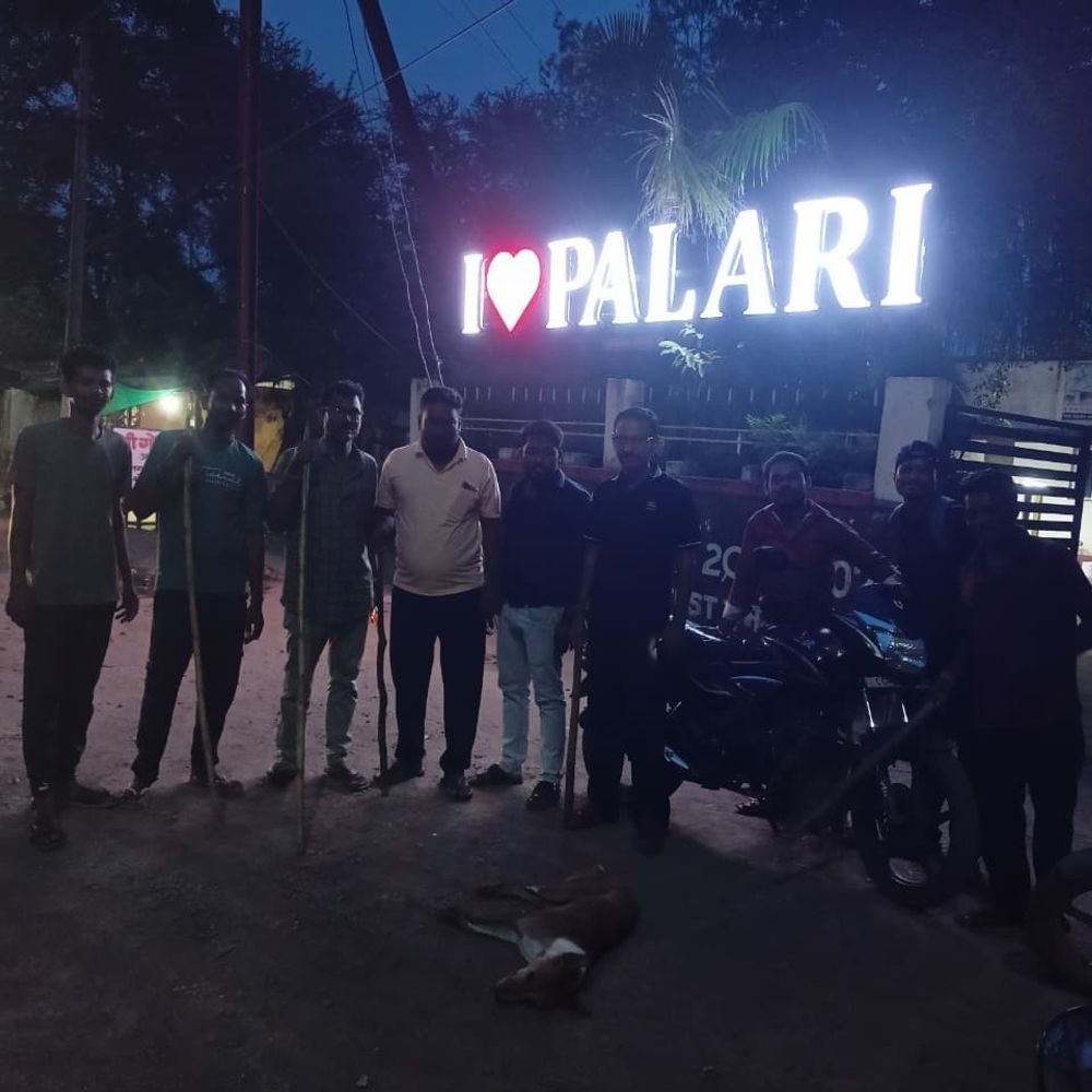 पलारी में पागल कुत्ते का आतंक: 13 लोगों को काटा, देर शाम कुत्ते को मारा गया