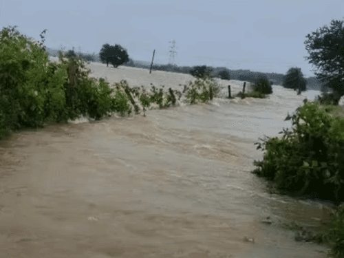 छत्तीसगढ़ में भारी बारिश का कहर: रायपुर-बस्तर समेत कई जिलों में जलभराव, ट्रेनें-फ्लाइट रद्द, स्कूल बंद
