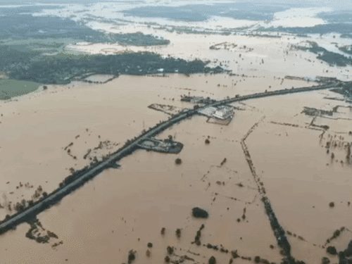 इंद्रावती नदी 50 साल के सबसे ऊंचे जलस्तर पर, जगदलपुर में बाढ़ से तबाही; 833 लोगों का रेस्क्यू, 65 राहत शिविरों में 8,894 लोग