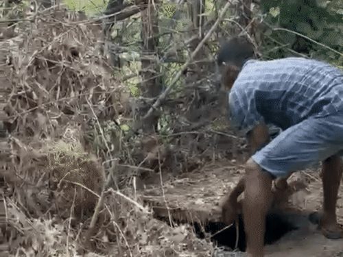कोरबा में लिव-इन पार्टनर ने की हत्या, शव सेप्टिक टैंक में छिपाया; अंबिकापुर से गिरफ्तार