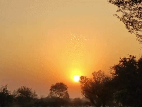 छत्तीसगढ़ में मानसून की विदाई शुरू होने के आसार, अगले 2-3 दिनों में अनुकूल होगी स्थिति